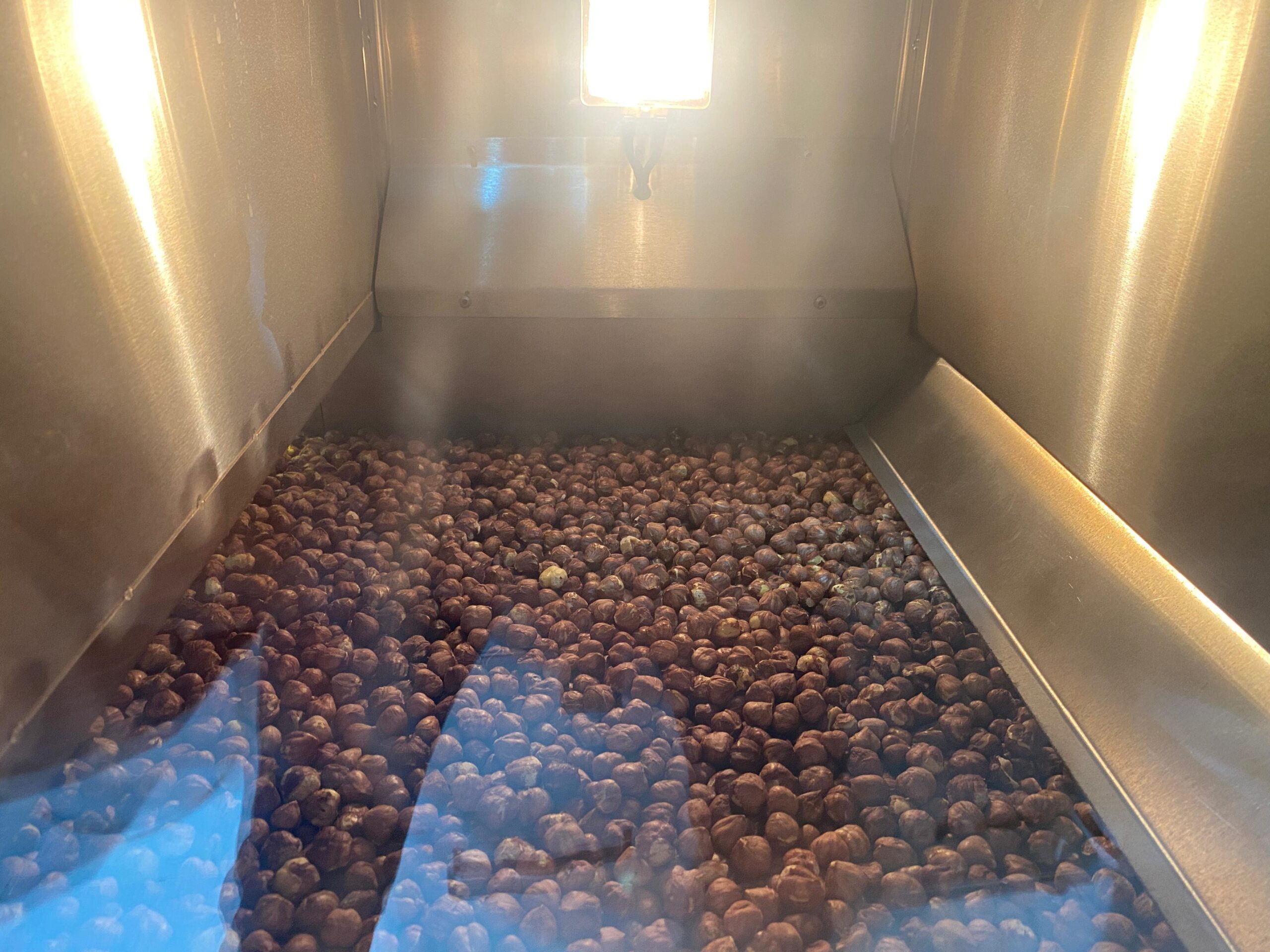 Fındık kavurma makinesinin içinde Giresun fındığı